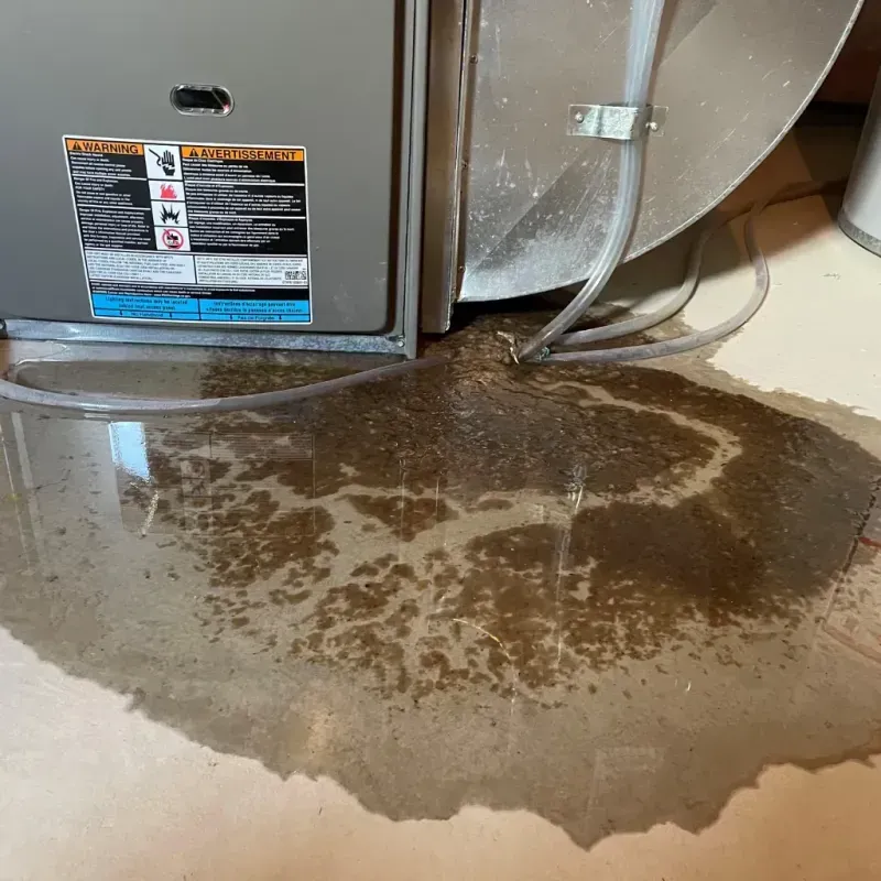 Appliance Leak Cleanup in Dixon, KY